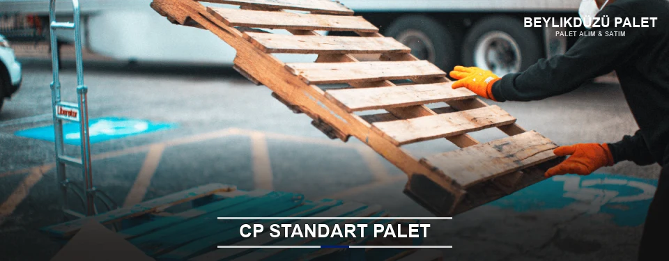 Beylikdüzü CP Palet Çözümleri
