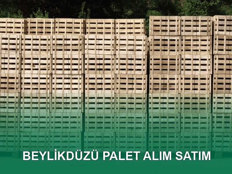 Beylikdüzü Palet Galeri 3